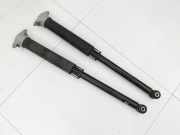 Ford Fiesta VII MK7 17-23 5T Stossdämpfer Links und Hinten
