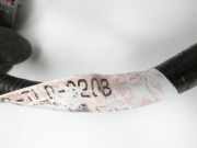 Honda Accord VIII CW3 08-11 Kombi Kabelbaum Leitungssatz für Tür und Fensterheber Hinten Rechts