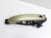 Ford S-Max WA6 06-10 Türgriff Griff aussen Links Vorne