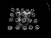 Opel Insignia A G09 09-13 Satz Radmuttern Muttern Radbolzen