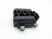 Renault Clio III 3P 09-12 16V 1,2 55KW Zündspule