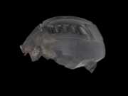 Peugeot Boxer Jumper 250 06-12 Kotflügel Verkleidung Radhausschale Links Vorne