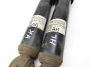 Opel Zafira B A05 11-16 Stossdämpfer Hinten Beide