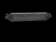 Fiat Doblo II 263 10-15 1,6D 66KW Ladeluftkühler Kühler