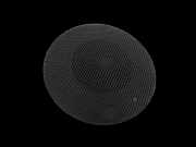 Citroen C3 II SC 09-13 Lautsprecher Hochtöner Rechts