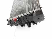 Dacia Duster II HM 18-21 dCi 1,5 85KW Wasserkühler Kühler Zusatzkühler Zwischenkühler