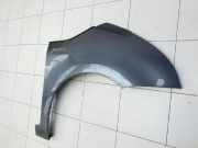 Citroen C4 Grand Picasso 06-10 Kotflügel Rechts Vorne