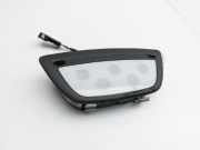 Tesla Model X 90D 15-21 Innenleuchte Innenraumleuchte Vorne