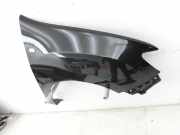 Dacia Sandero II B52 17-20 Kotflügel Rechts Vorne