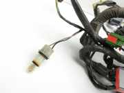 Jaguar XJ X351 09-15 Kabelbaum Hinten