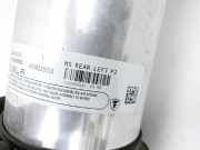 Tesla Model S Palladium 21-25 Federbein Stossdämpfer Hinten Links