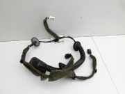 Dacia Sandero II B52 15-19 Lim Kabelbaum für Tür und Fensterheber Rechts Vorne