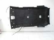 Hyundai Santa Fe IV TM 18-20 Verkleidung für Himmel Dach