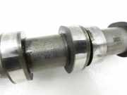 Audi A6 4F C6 05-08 TDI 3,0 165KW BMK Nockenwelle Auslass Rechts