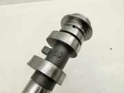 Toyota Corolla E21 19-23 Hybrid 2,0 Hybrid 135KW Nockenwelle Einlass