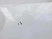 Opel Vivaro C K0 19-25 Kotflügel Links Vorne