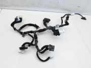 Hyundai Santa Fe III DM 12-15 Kabelbaum Tür und Fensterheber Links Vorne