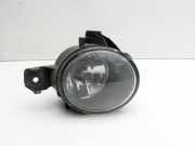 BMW X5 35d E70 06-10 Nebelscheinwerfer Rechts orig.