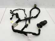 Citroen C4 Picasso II 13-16 Grand Kabelbaum f?r T?r und Fensterheber Links Hinten