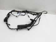 BMW 218i F45 14-18 Kabelbaum für Tür und Fensterheber Links Hinten