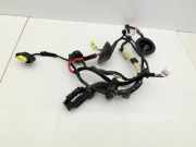 Hyundai Santa Fe IV TM 18-20 Kabelbaum für Tür und Fensterheber Links Hinten