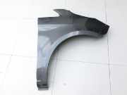 Kotflügel Rechts Vorne