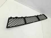 BMW F11 10-13 5er 525D Lufteinlassgitter Stoßstange Stoßfänger Vorne Mitte