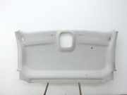 Fiat Talento 296 16-21 Verkleidung für Himmel Dach