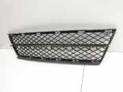 BMW E61 530xi LCI 07-09 Lufteinlassgitter für Stoßstange Stoßfänger Vorne