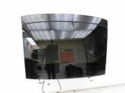 Fiat 500 595 Abarth 12-24Panoramadach Schiebedach Glas