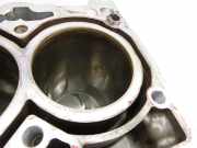 Skoda Fabia III NJ 17-22 1,0 81KW DKRC Motorblock für Motor