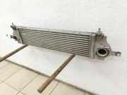 Nissan Qashqai J10 07-10 dCi 1,5 78KW Ladeluftkühler Kühler