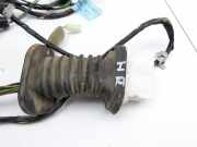 Ssangyong Rexton W RJ 12-17 Kabelbaum Leitungssatz f?r T?r und Fensterheber Hinten Rechts