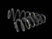 VW Tiguan I 5N 07-11 Beide Feder Federn Hinten