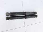 Fiat Talento 296 16-21 VAN Stossdämpfer Links und Rechts Hinten