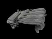 Nissan Juke F15 15-18 1,6i 86KW HR16DE Ansaugbrücke Ansaugkrümmer