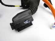 Kia Sorento III UM 15-20 Türkabelbaum Kabelbaum Leitungssatz Tür vorne links