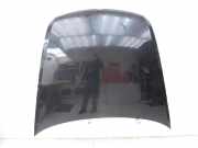 VW Phaeton 3D 10-16 Motorhaube Frontklappe Haube