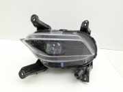 Hyundai Santa Fe IV TM 18-20Nebelscheinwerfer Links