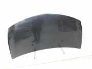 Renault Clio III 3P 09-12 Motorhaube Frontklappe Haube