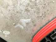 BMW E61 LCI 530d 07-10 Xenon Vorschaltgerät Links