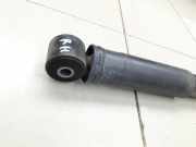 Fiat Talento 296 16-21 Stossdämpfer Rechts Hinten