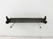 VW Polo V 6R 08-14 TDI 1,2 55KW Ladeluftkühler Kühler