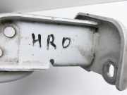 Fiat Talento 296 16-21 VAN Türscharnier Scharnier Rechts Hinten Oben für Flügeltür