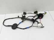 Kia Sorento XM 09-12 Kabelbaum für Tür und Fensterheber Links Hinten