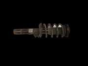 Skoda Superb II 3T 08-13 Kombi Federbein Stossdämpfer Vorne Links