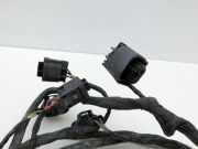 Peugeot 407 Coupe 05-11 PDC Kabelbaum Pos.1 Vorne