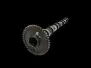 BMW E91 318D LCI 09-13 2,0d 105KW N47D20C Nockenwelle Auslass