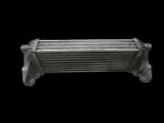 Ford Connect 06-09 TDCi 1,8 66KW Ladeluftkühler Kühler