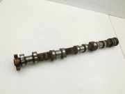 BMW X5 E70 06-10 4.8I 261KW N62B48B N62/TU Nockenwelle Rechts Auslass 1-4